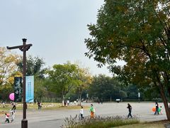 -盘龙城国家考古遗址公园