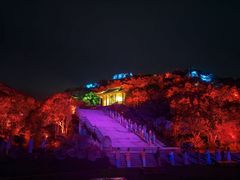 -印象普陀