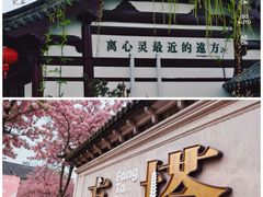 -常熟方塔园