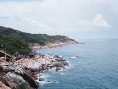 -广东惠东海龟国家级自然保护区