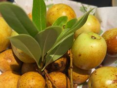 -季季山·云南野生菌火锅(上海首店)