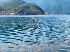 -丽江泸沽湖景区