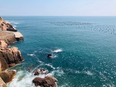 -枸杞岛