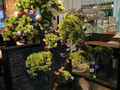 -鼎盛蜀坊·重庆江湖菜(市桥地铁站店)