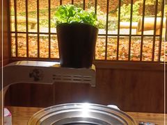 -九田家黑牛烤肉料理(太阳宫广场店)