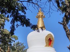 -护国法轮寺