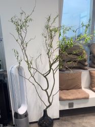 -DX HAIR SALON·发现未知美发沙龙