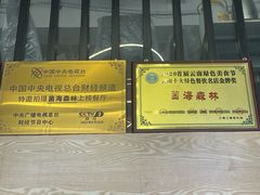 -菌海森林·非遗野生菌火锅(西山区滇池路摩根道店)