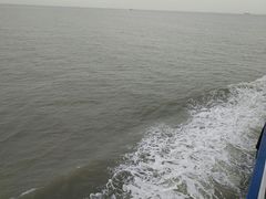 -枸杞岛