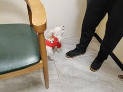 -德元·美联众合24小时动物医院(总院)