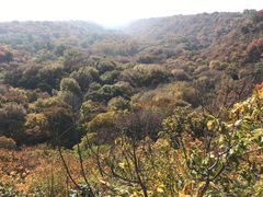 -大青沟风景区