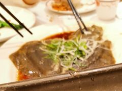 清蒸多宝鱼-稻香酒家(天河城店)