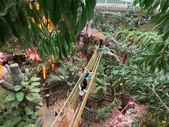 -正佳雨林生态植物园