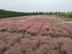 -嘉北郊野公园