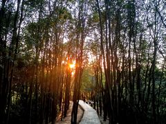 -火炉山森林公园