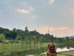 -东莞植物园