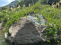 -九鲤溪瀑景区