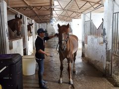 -月河湾马术俱乐部(朝阳店)