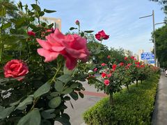 -木塔寺遗址生态公园