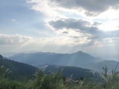 -武陵山森林公园