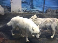 -梦幻海洋王国(吾悦广场张家港店)