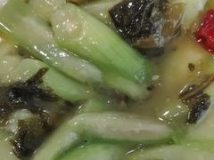 -金熊猫川菜餐厅