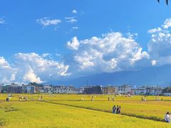 -喜林苑·稻田餐厅(品相府店)