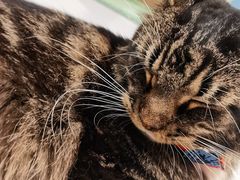 -宝大祥青少年儿童购物中心(南京东路店)