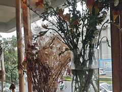 -野草莓自由市场