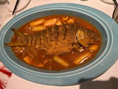 红烧黄河鲤鱼-阿五黄河大鲤鱼(海尚店)