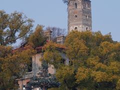 -江心屿景区