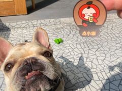 -KYO COFFEE(胶州路店)