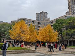 -辽宁大学(崇山校区)