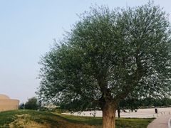 -敦煌莫高窟数字展示中心