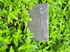 -广州神农草堂中医药博物馆