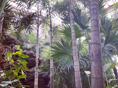 -石家庄市植物园