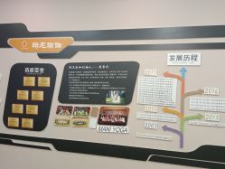 -玛尼瑜伽·普拉提