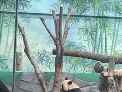 -秦皇岛野生动物园
