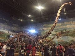 -自贡恐龙博物馆