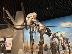 -国家自然博物馆