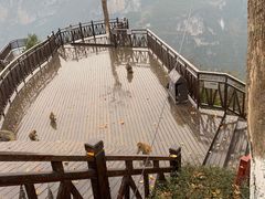 -重庆云阳龙缸景区
