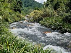 -海南热带雨林国家公园吊罗山景区