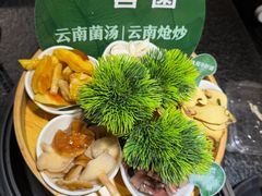 -一善菌·云南菌汤·云南菜(银泰城店)