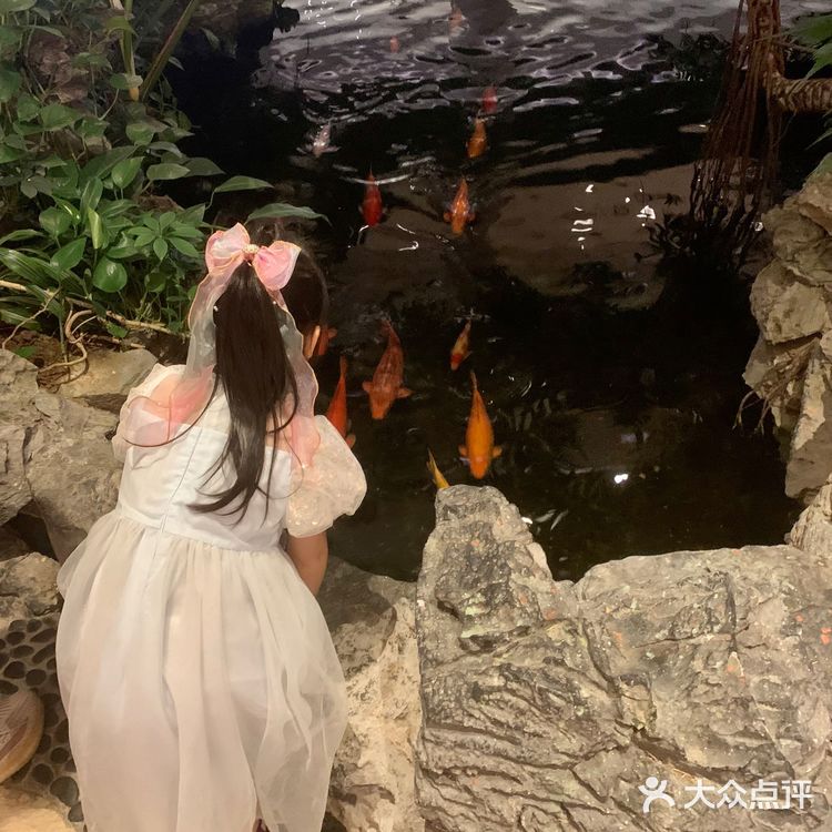 老广情怀🦢白天鹅自助餐