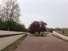 -北京国家会计学院