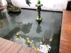 -觀芷隐轩