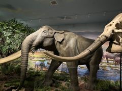 -湖南省地质博物馆