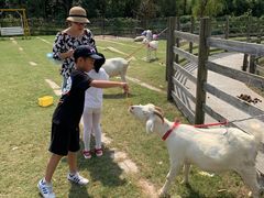 -前小桔亲子创意农场·草莓采摘·露营烧烤