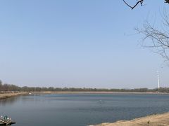 -西青郊野公园