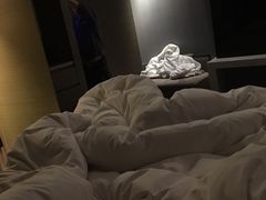 -南京禄口机场雅高铂尔曼大酒店